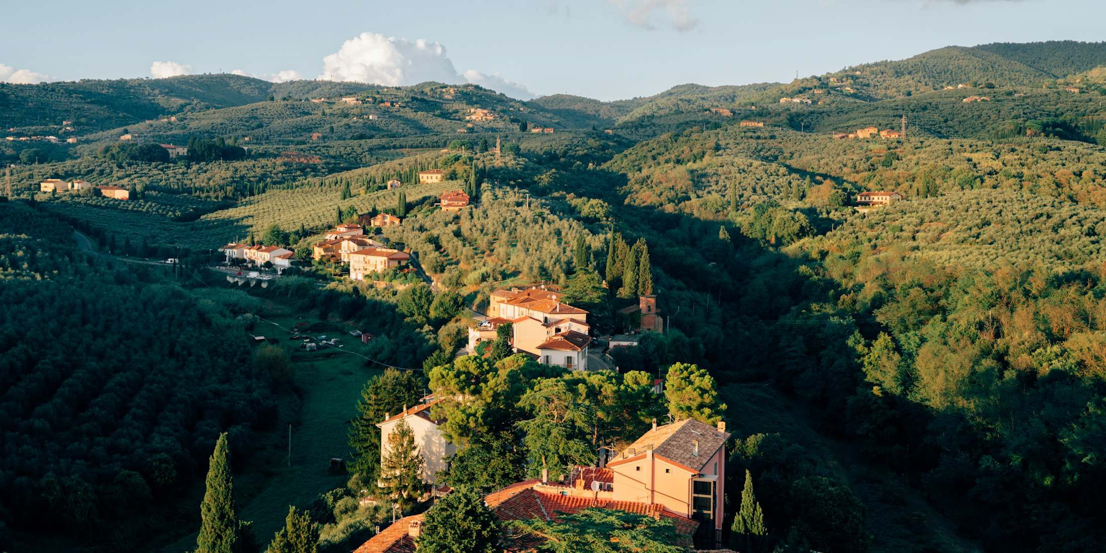 Sunlit Mediterranean countryside of rolling green hills and olive groves